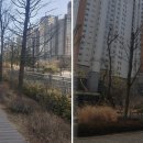 신안인스빌 맞은편 이미지