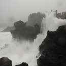 제주 부영호텔&리조트 이미지