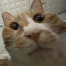 즉떡이네 이미지