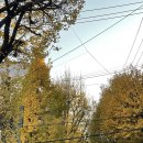 로그건축사사무소 이미지