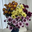 소원농장 이미지