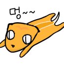 게코쥬