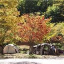 아트인아일랜드야영장 이미지