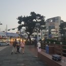 탐라문화광장 이미지