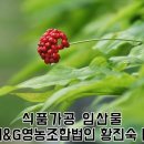 동부생약영농조합법인 이미지