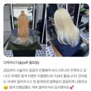 청구역미용실 원데이 백금발 탈색 하루 만에 화이트 블론드