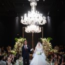 웨스턴베니비스 이미지