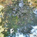 국제성지 둘레길 이미지