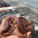 문어대장 이미지