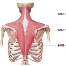 라운드엠 이미지