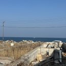 푸른농약사 | 두근두근 긴장의 연속이었던 홀로서기 제주 여행(두 번째 날)