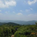 정*선