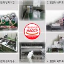 수정씨푸드 이미지