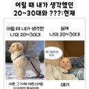 새시온약국 | 2024 9월 일상 모음집