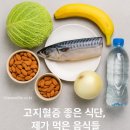 🩺 고지혈증에 좋은 음식 | 약 없이 콜레스테롤 낮추는 식단 가이드