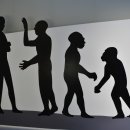 전곡선사박물관 이미지