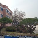 WOW교육컨설팅주