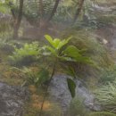 예원스테이 이미지