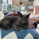 허동물병원 이미지