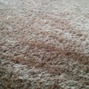 파라곤세탁 이미지