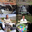 모정농장 이미지