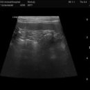 부곡동물병원 이미지