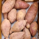 산이농원 | [산이드림농원] 해남 황토 밤고구마 못난이 고구마 후기