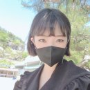 미스터스시강 이미지