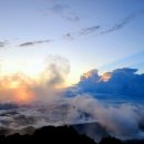 복이 행정사사무소 이미지