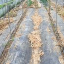 석구농장 이미지