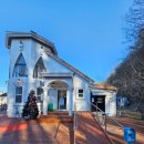 카페 엘림 | ​[강원/평창] 특색있는 메뉴 메미리카노가 있는 '엘림카페' 내돈내산 후기 (송어축제 근처 가볼만한곳)