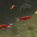 바램이머무는곳 이미지