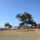 조안1리 마을회관 이미지