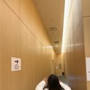남산그린빌딩 | 노보텔 스위트 앰버서더 서울 용산 4인 가족 호캉스 (2) , 수영장, 조식 ,애프터눈티, THE26 이용 후기