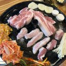 서울암퇘지 이미지