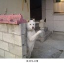 없음 이미지