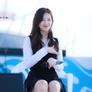 엘리 이미지