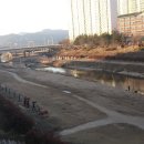 금명초등학교 이미지