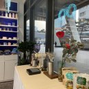 스테이 로렌스 이미지