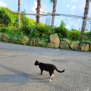 스탠포드리조트 이미지