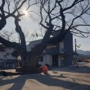 유곡리마을회관 이미지