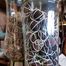 금광농장 이미지