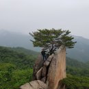 삼공사공 이미지