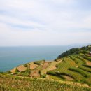 남해설레임 이미지