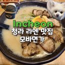 청라PC | 청라 애견동반 식당 라멘집 모바면가 솔직 후기
