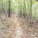 왕피천생태탐방로 이미지