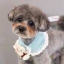 잇츠그루밍타임 이미지