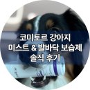 독한고양이 | 건조한 환절기엔 강아지 코미토르 밸런스 펫 미스트와 발바닥 보습제 후기
