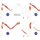 계해정한의원 이미지