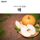 광성푸드